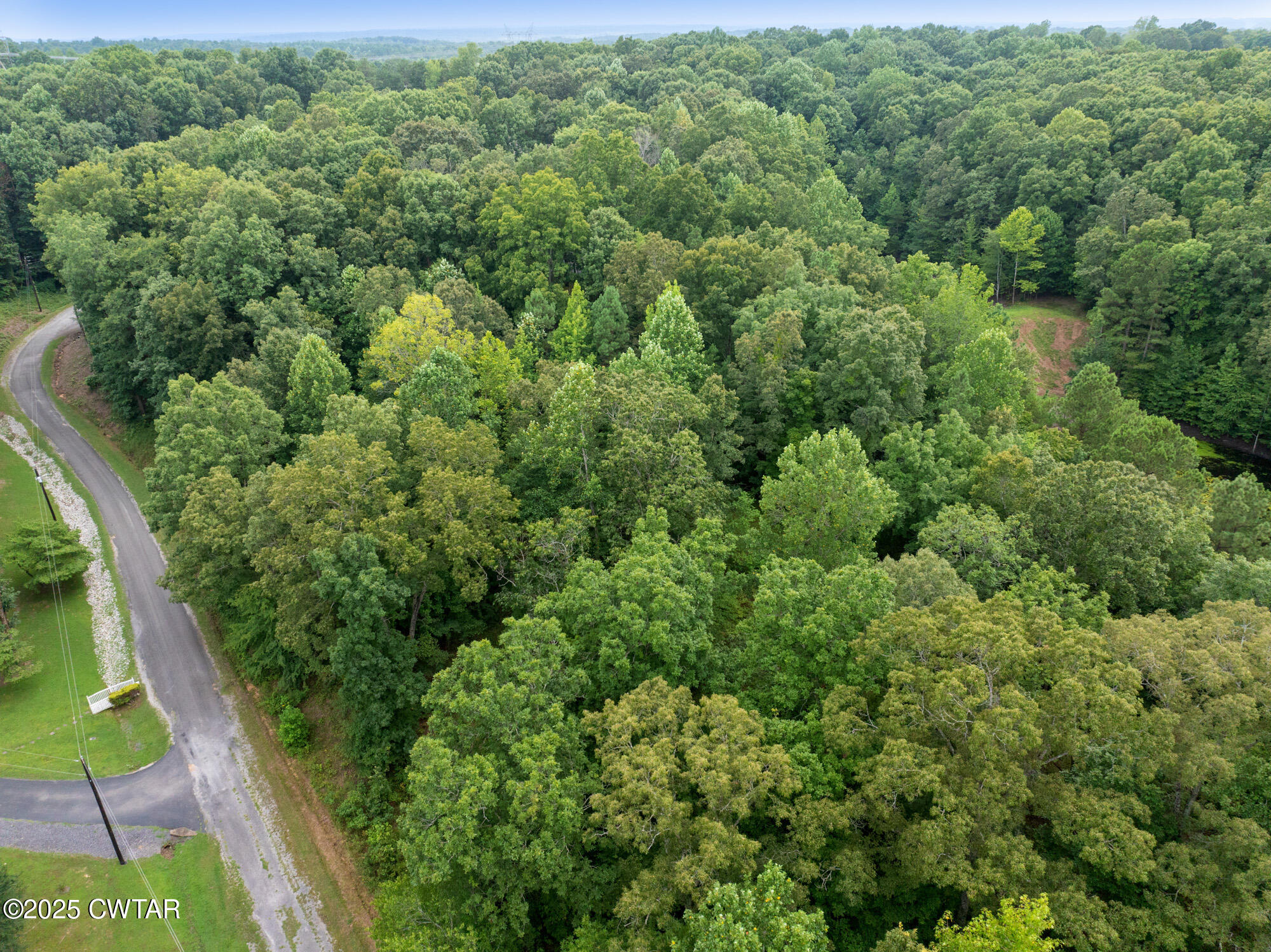 163 Jason Hollow Road Cedar Grove, TN 38321 - Photo 2 of 14 an aerial view of a forest with houses