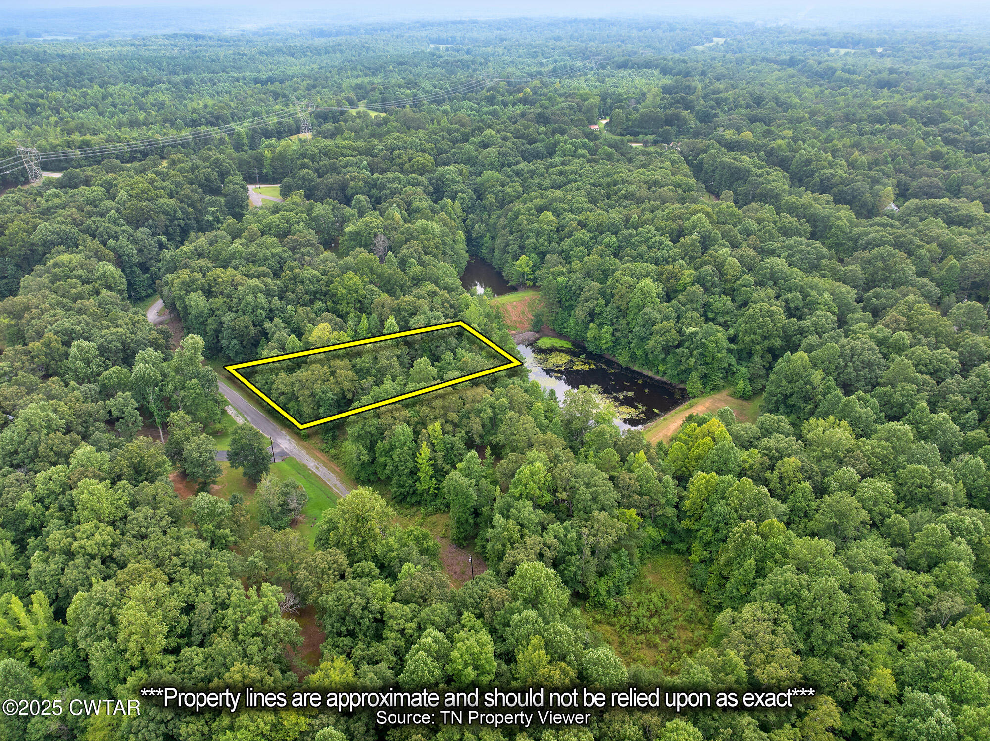 163 Jason Hollow Road Cedar Grove, TN 38321 - Photo 4 of 14 a view of a lush green field