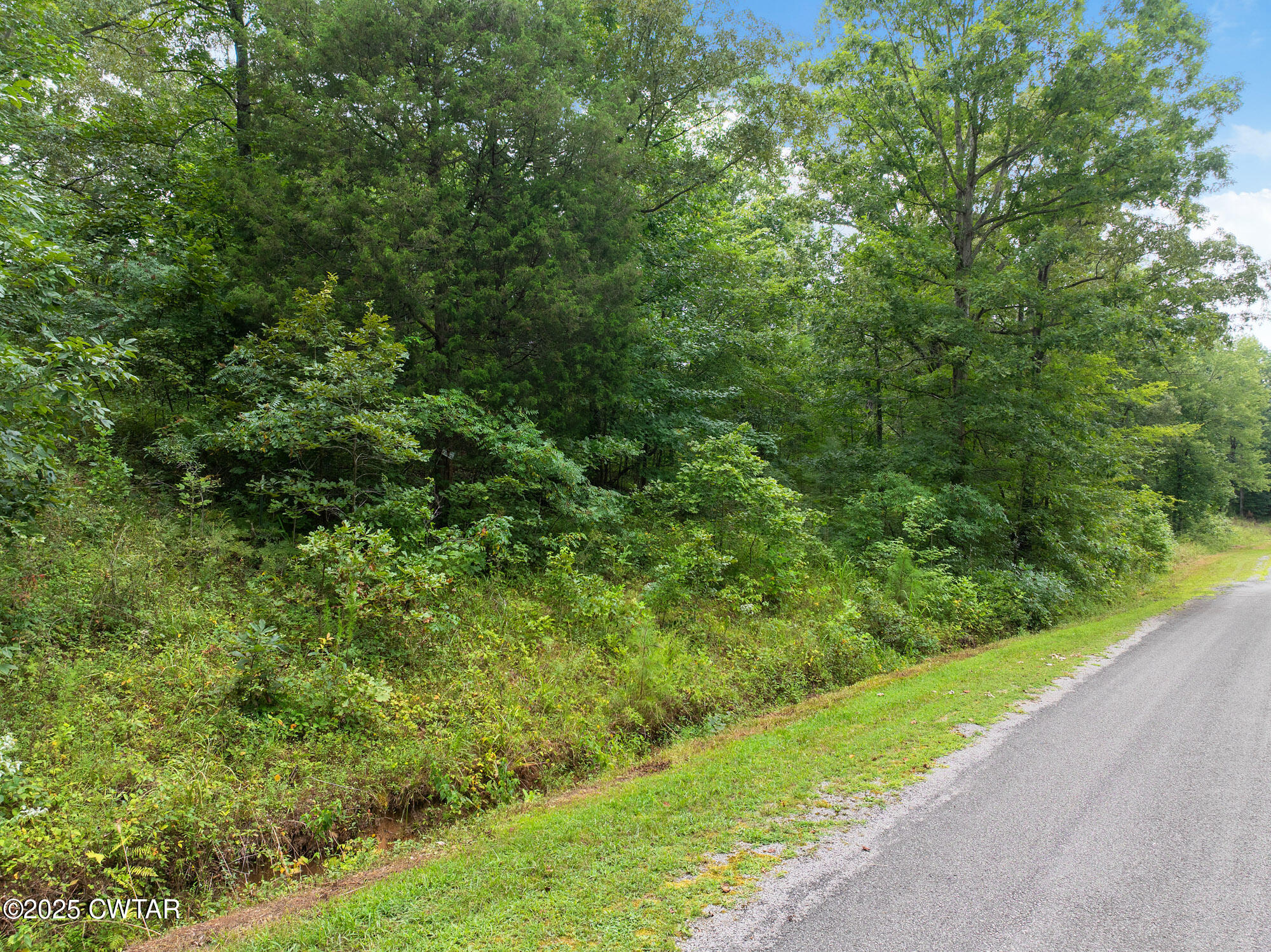 163 Jason Hollow Road Cedar Grove, TN 38321 - Photo 5 of 14 a view of a garden
