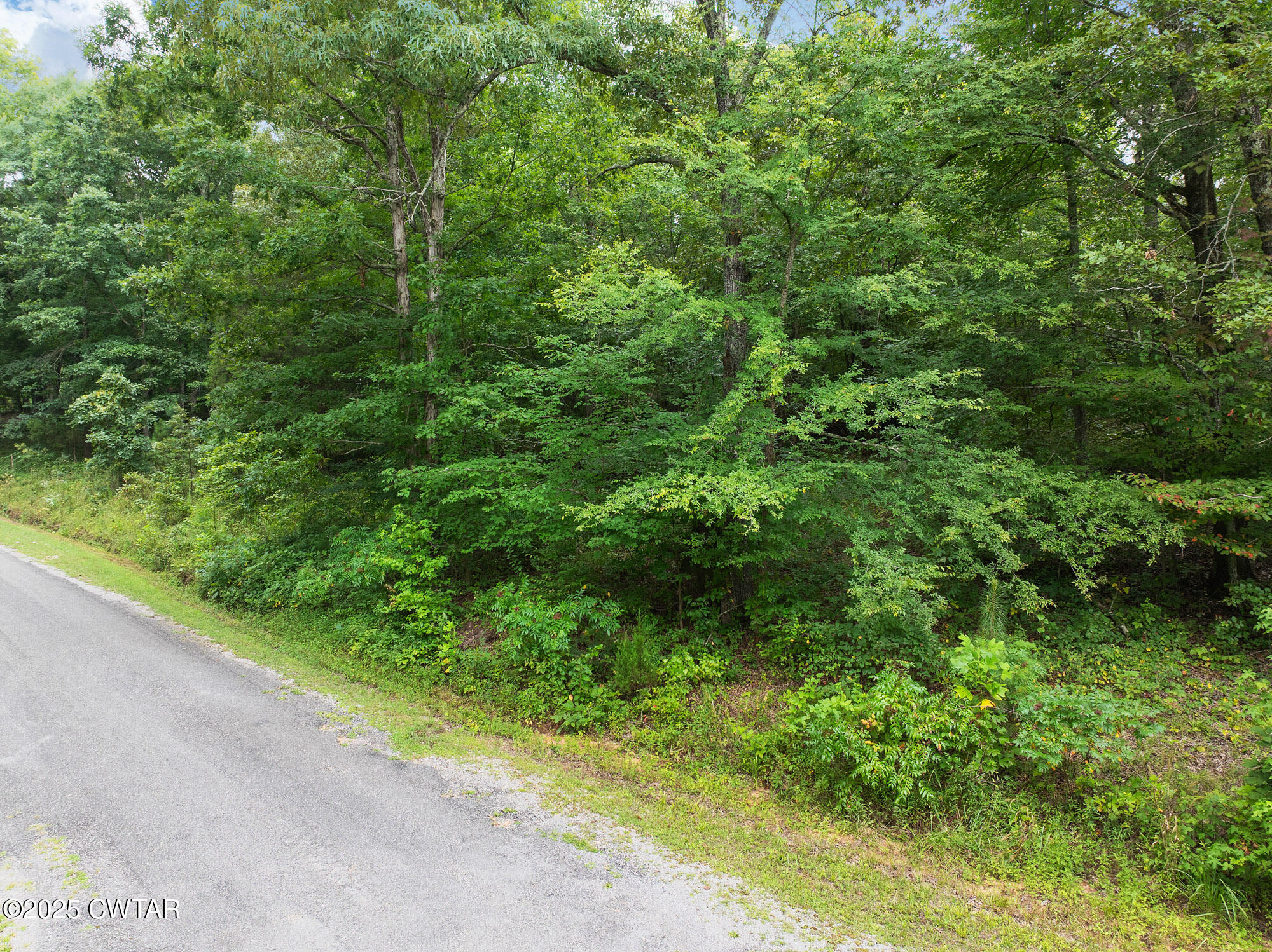 163 Jason Hollow Road Cedar Grove, TN 38321 - Photo 6 of 14 a view of a garden