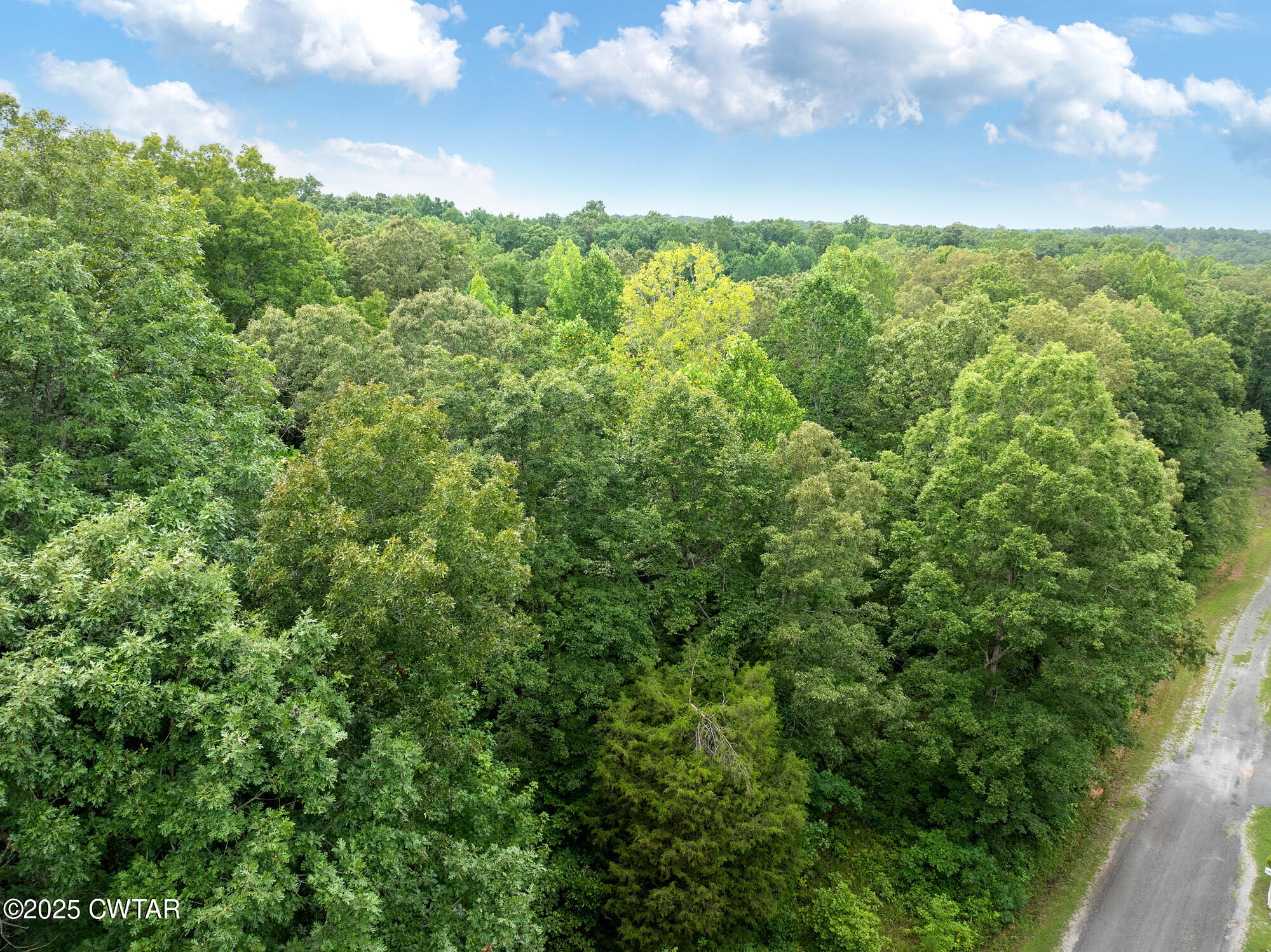 163 Jason Hollow Road Cedar Grove, TN 38321 - Photo 9 of 14 a view of a green yard