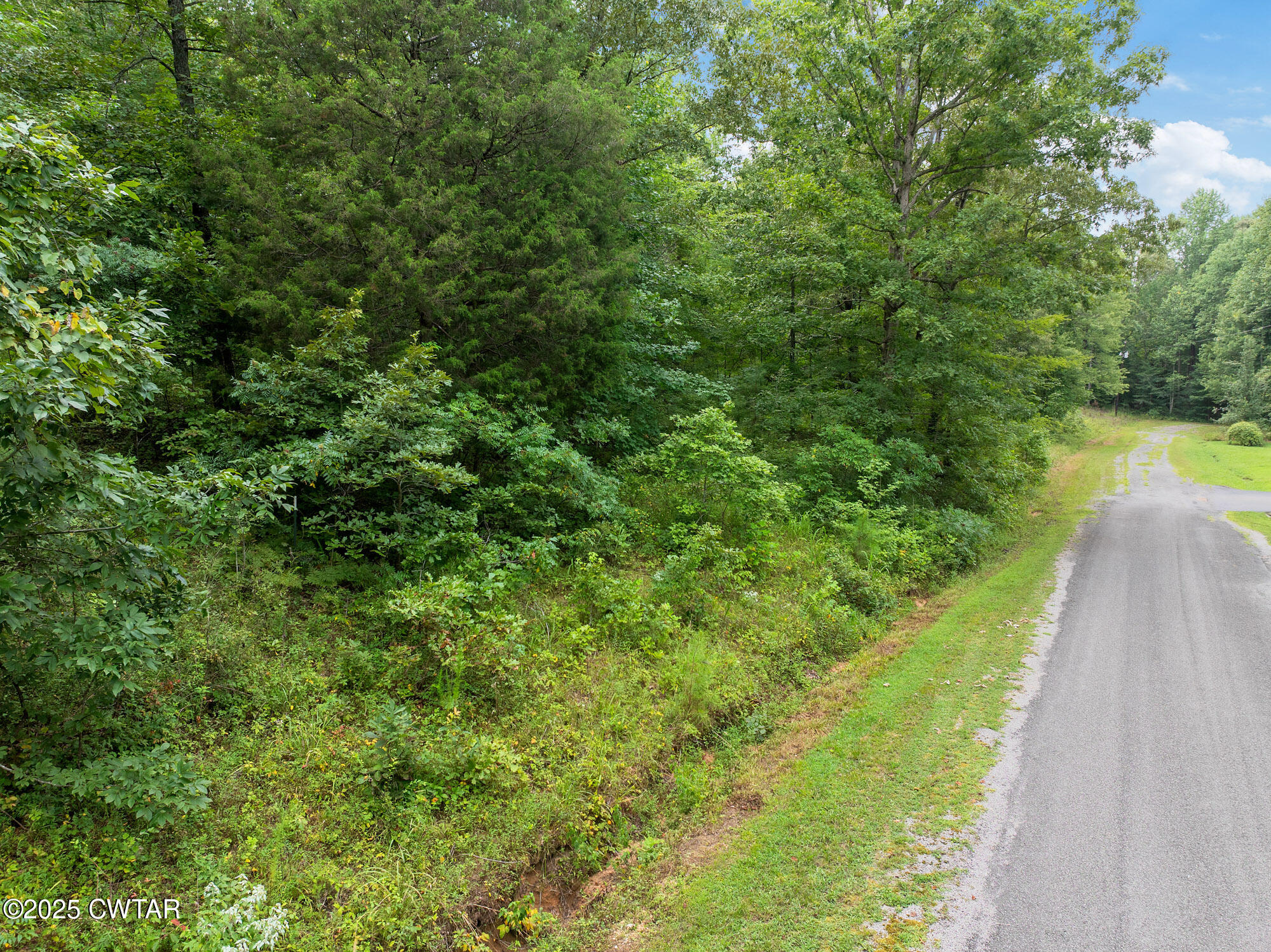 163 Jason Hollow Road Cedar Grove, TN 38321 - Photo 10 of 14 a view of a yard with a lake view