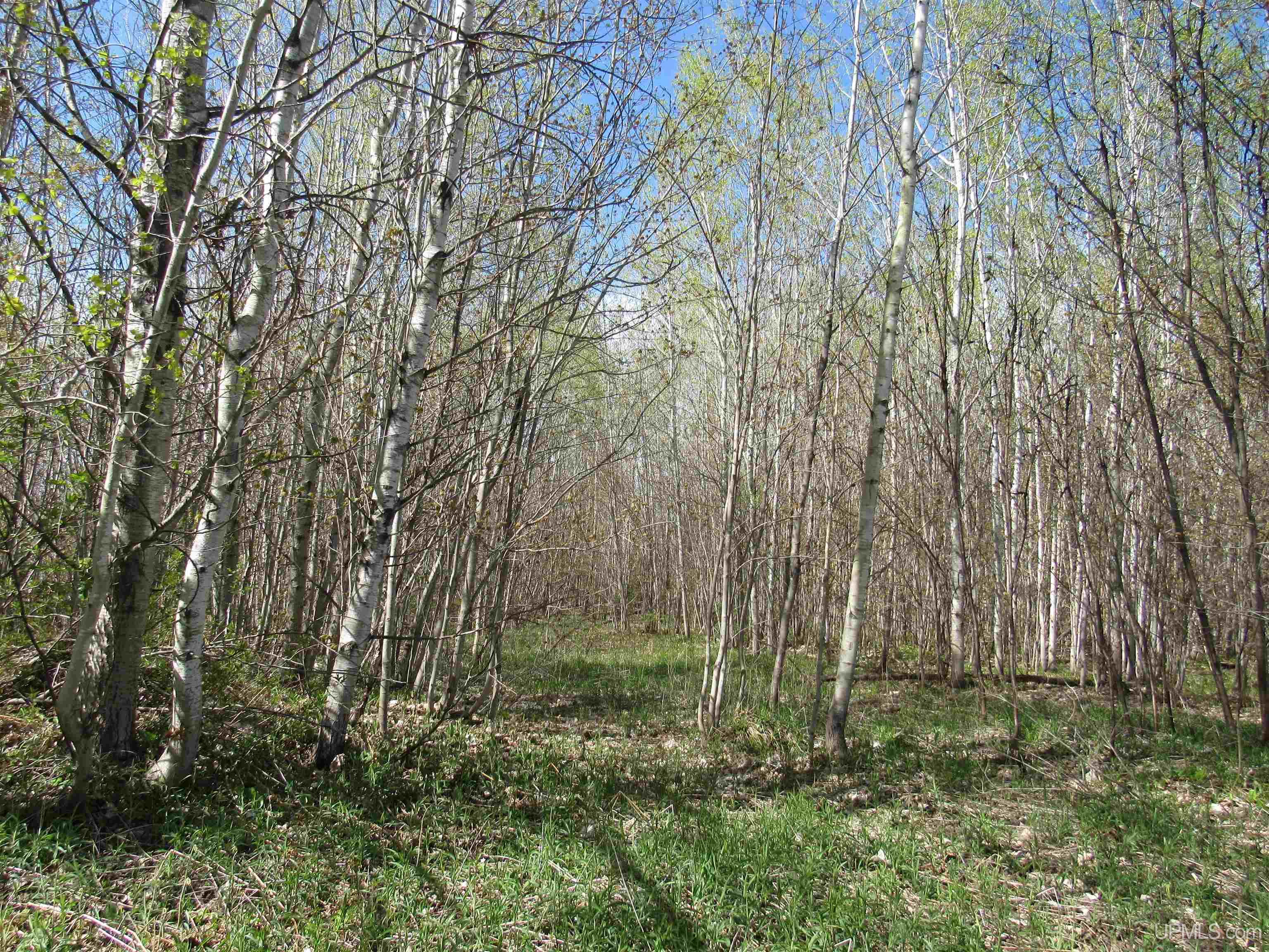 Tbd Off Rice Lake Road, Unit NO DRIVE BYS Lake Linden, MI 49945 - Photo 18 of 40