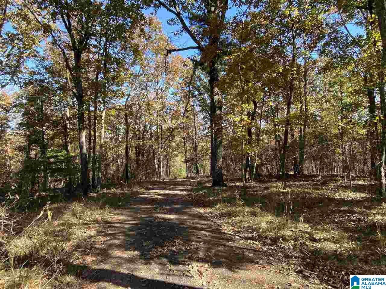 3752 County Road 331 Chelsea, AL 35043 - Photo 2 of 10