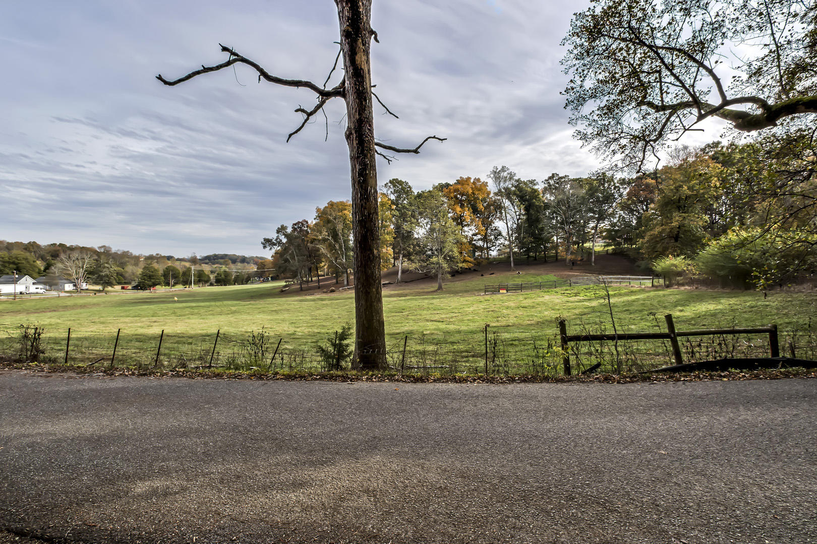 Lot 1 Reed Drive Powell, TN 37849 - Photo 1 of 10 Lot 1