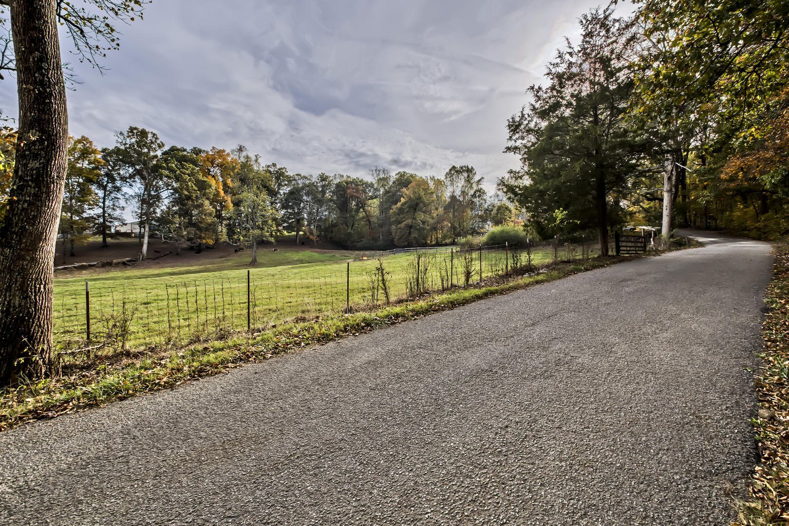 Lot 1 Reed Drive Powell, TN 37849 - Photo 4 of 10 Lot 1