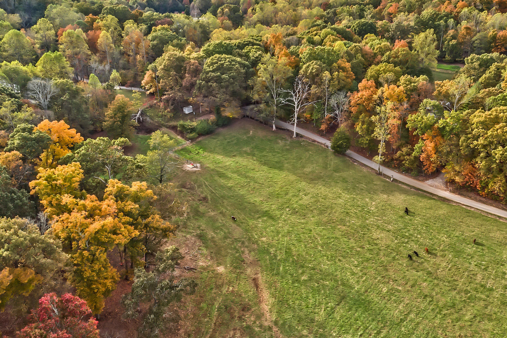 Lot 1 Reed Drive Powell, TN 37849 - Photo 5 of 10 Lot 1