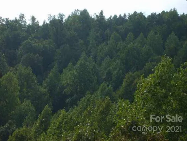 $34,500 | 0 Highland Meadows Way, Lenoir, NC 28645