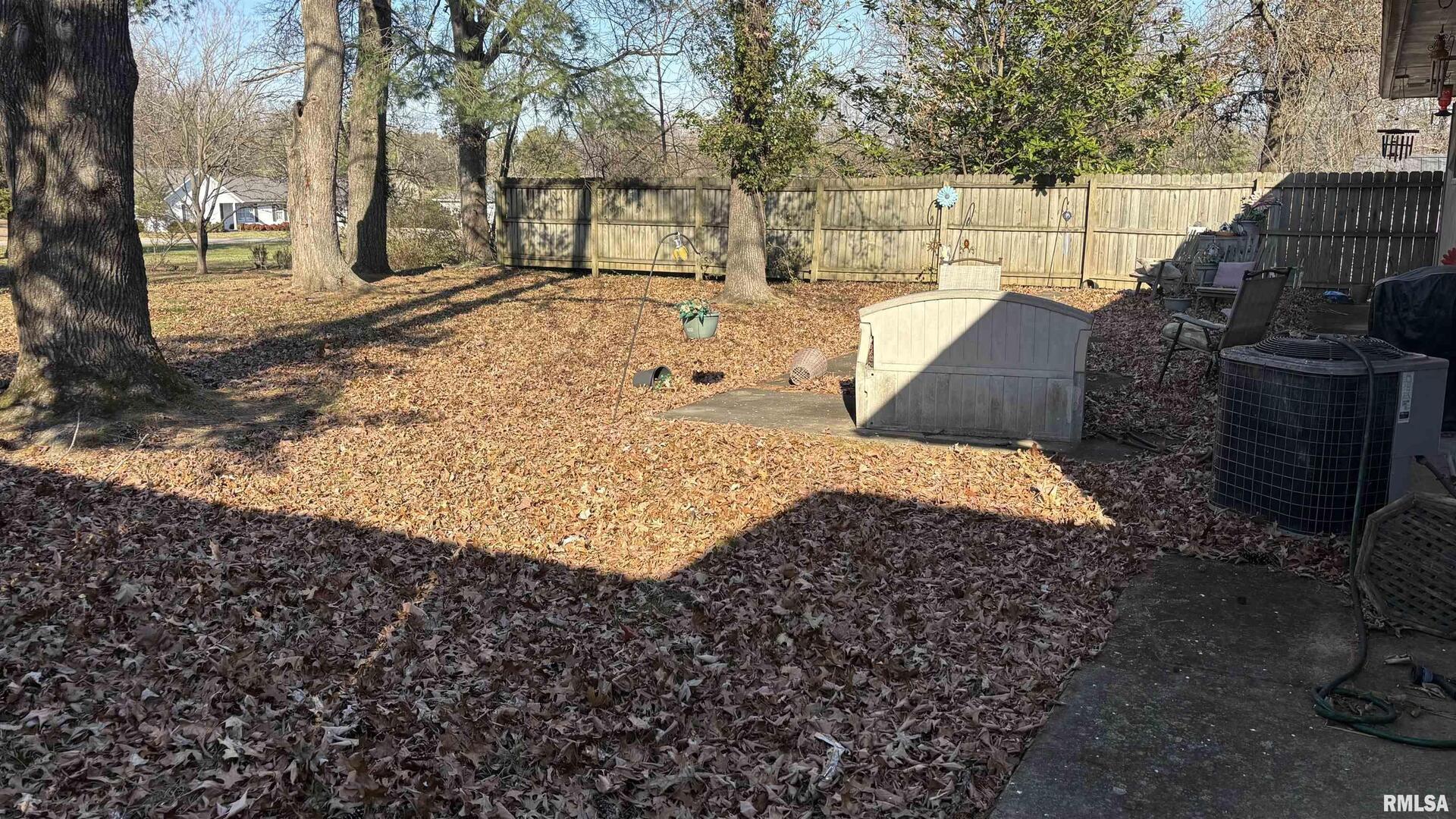 210 Apple Lane Anna, IL 62906 - Photo 7 of 45