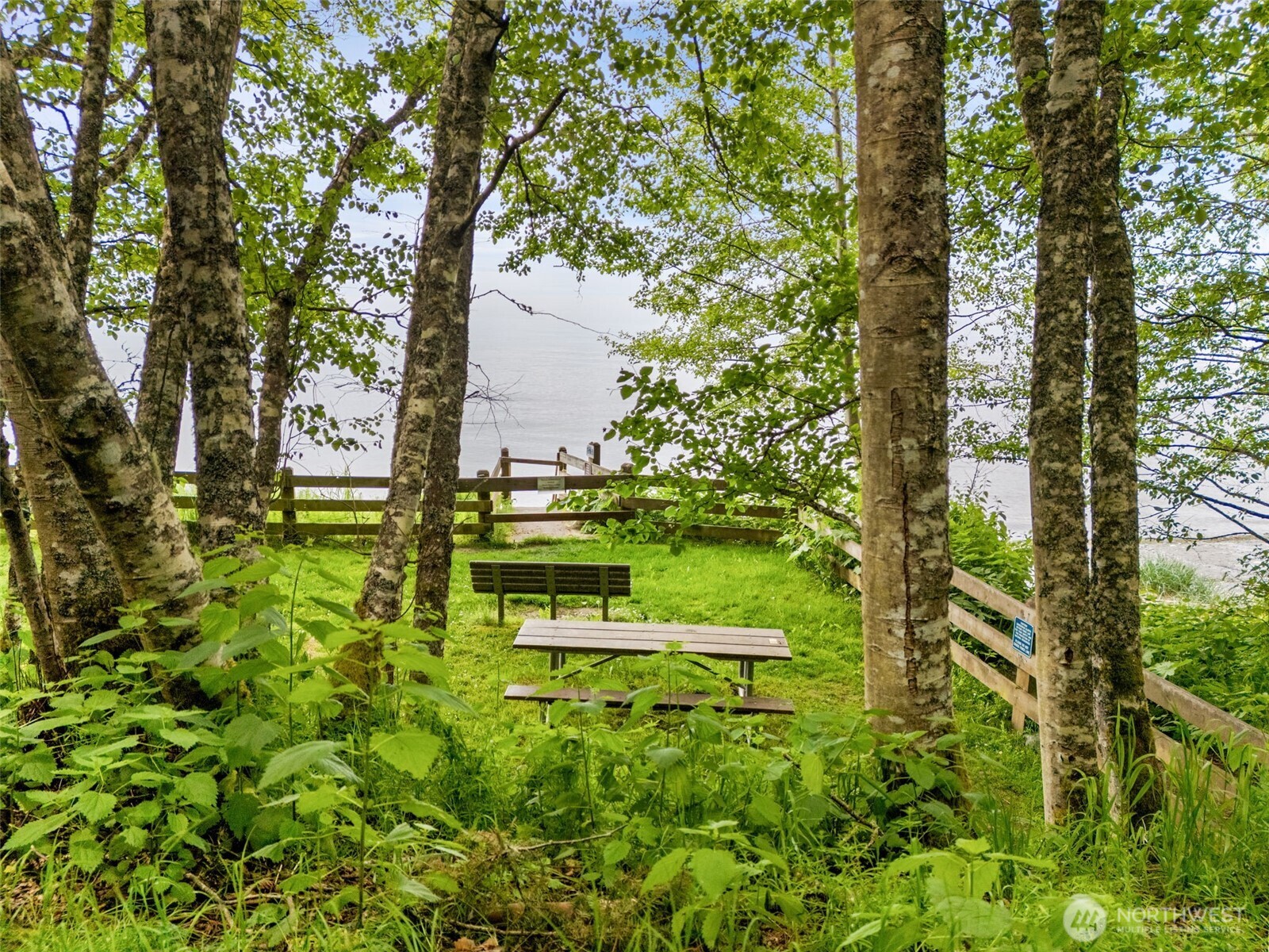 442 Buck Loop Road Sequim, WA 98382 - Photo 36 of 40