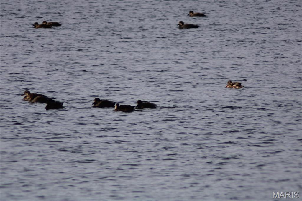 0 Deer Run Road Pinckneyville, IL 62274 - Photo 11 of 11