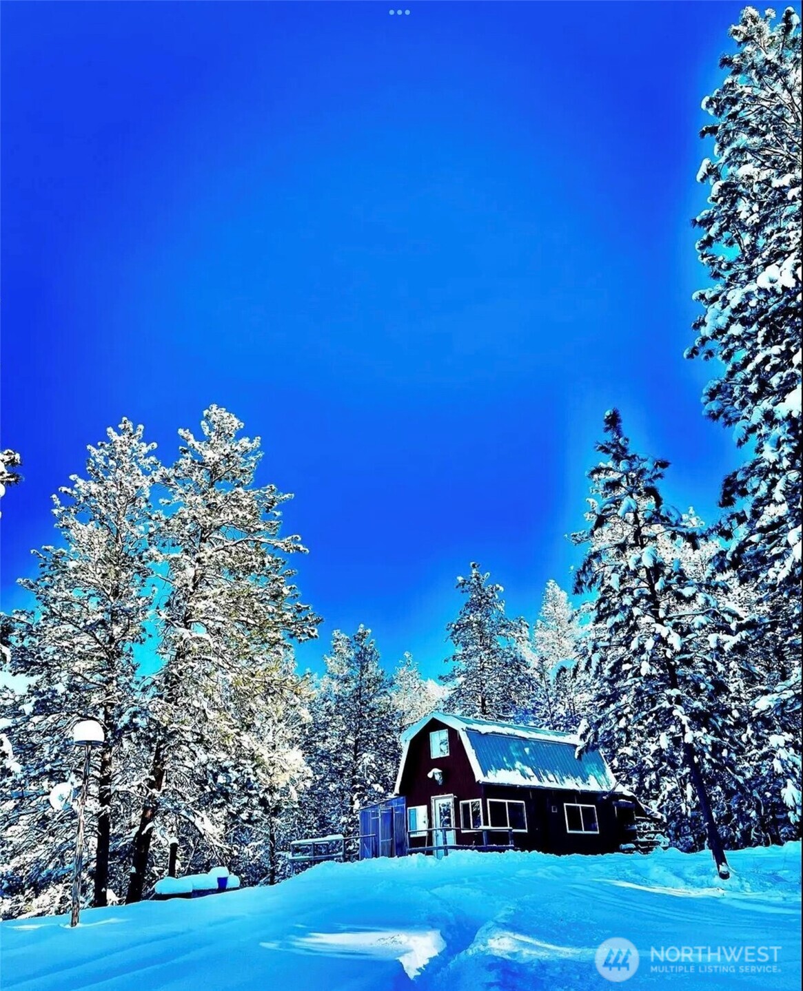 a view of a tree in front of a house
