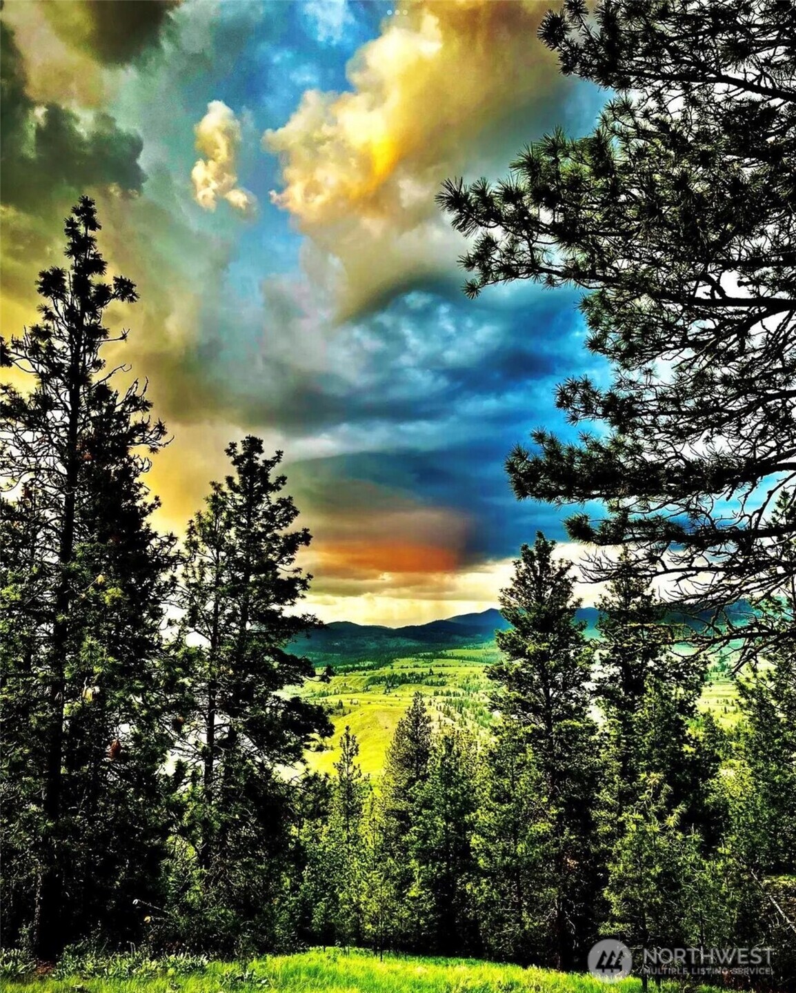 315 Reevas Basin Road Tonasket, WA 98855 - Photo 22 of 25 a view of a lake