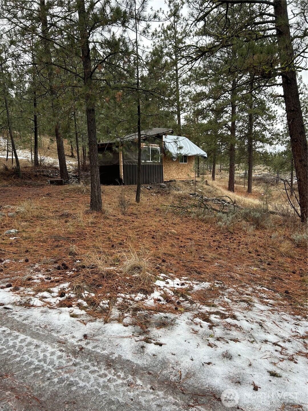 315 Reevas Basin Road Tonasket, WA 98855 - Photo 9 of 25 a backyard of a house with lots of green space