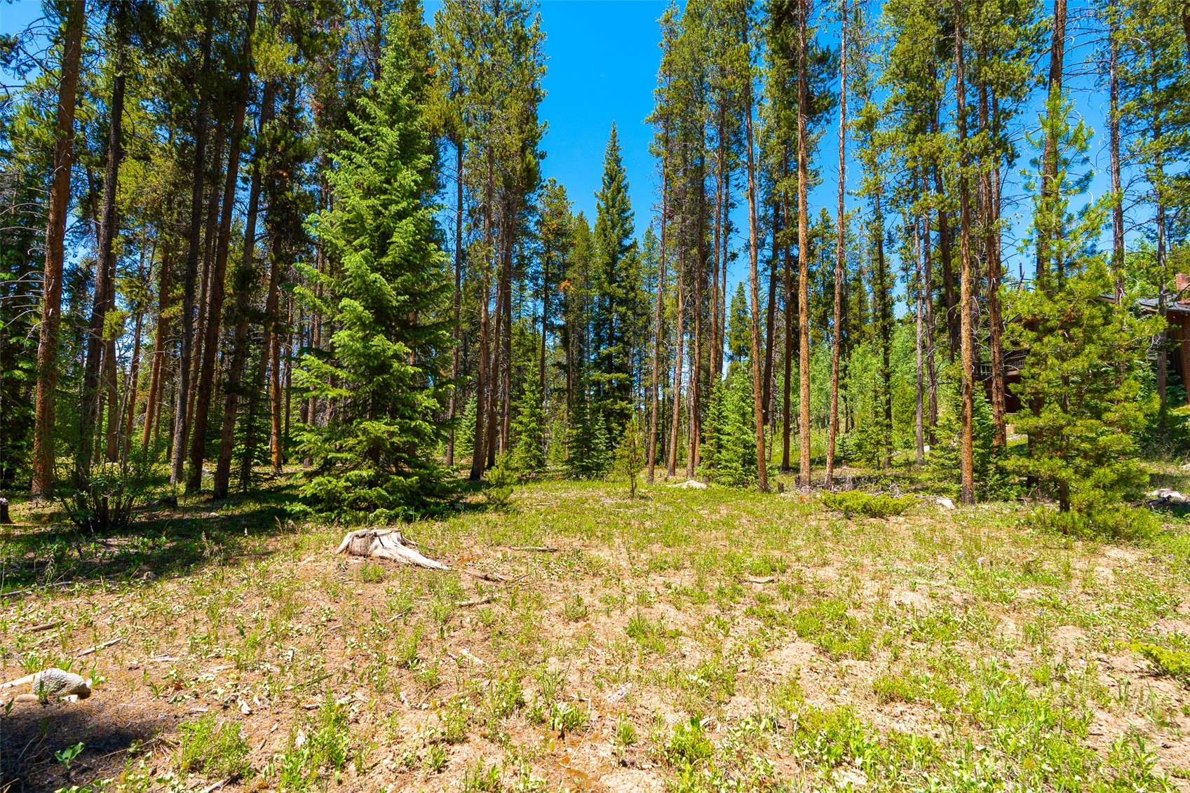 277 Wagon Road Breckenridge, CO 80424 - Photo 39 of 50