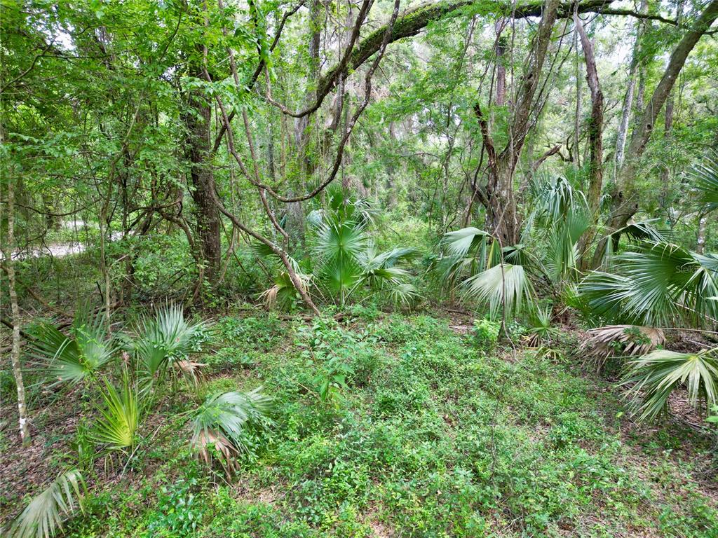 Tbd Southwest 31st Way Webster, FL 33597 - Photo 13 of 15 Gallery Image 13