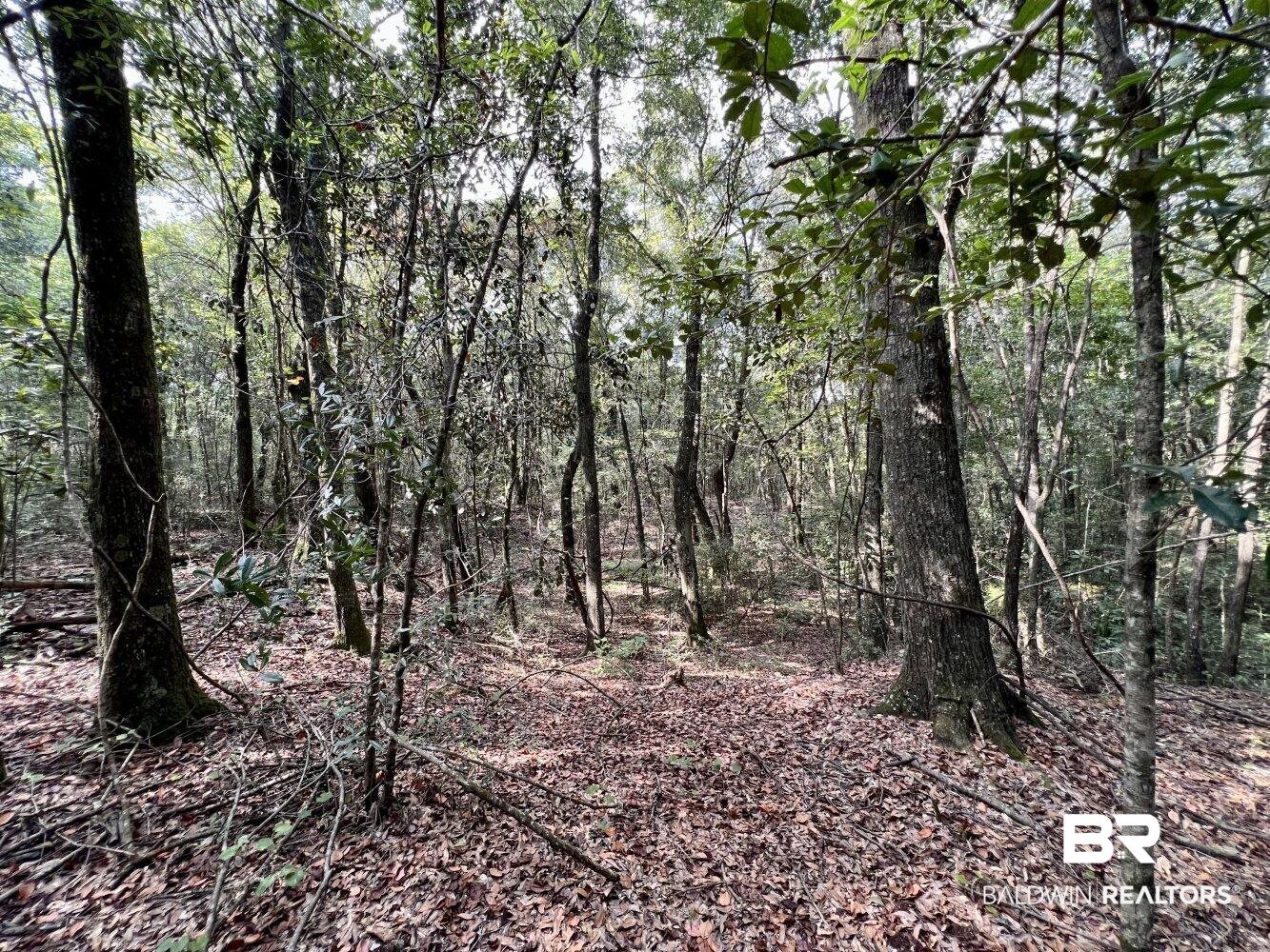 0 Bear Fork Road Mobile, AL 36618 - Photo 26 of 50