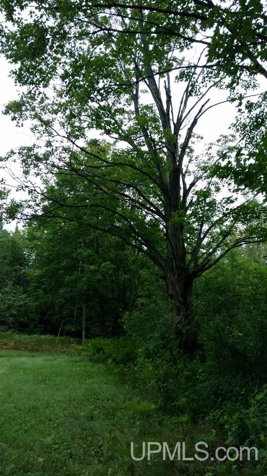 N2573 Et Road Trenary, MI 49891 - Photo 20 of 33