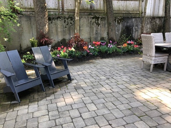 135 University Road, Unit 1 Brookline, MA 02445 - Photo 15 of 18 a view of garden with flowers and trees
