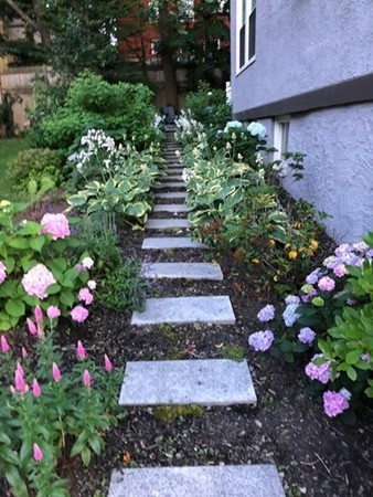 135 University Road, Unit 1 Brookline, MA 02445 - Photo 16 of 18 a view of a flower arrangement in backyard