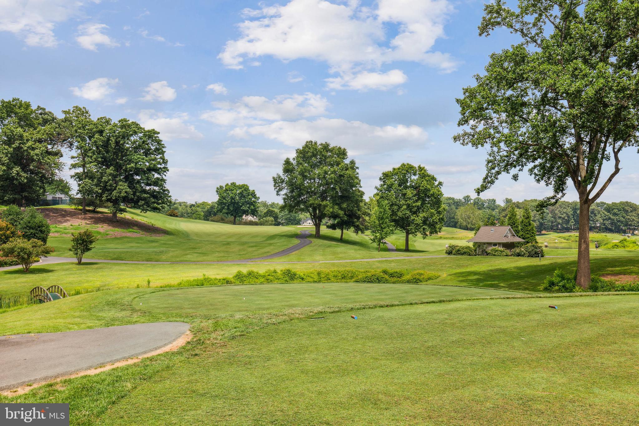 6715 Bellamy Avenue Springfield, VA 22152 - Photo 3 of 52 Private rear yard backing to WS Golf&Country Club