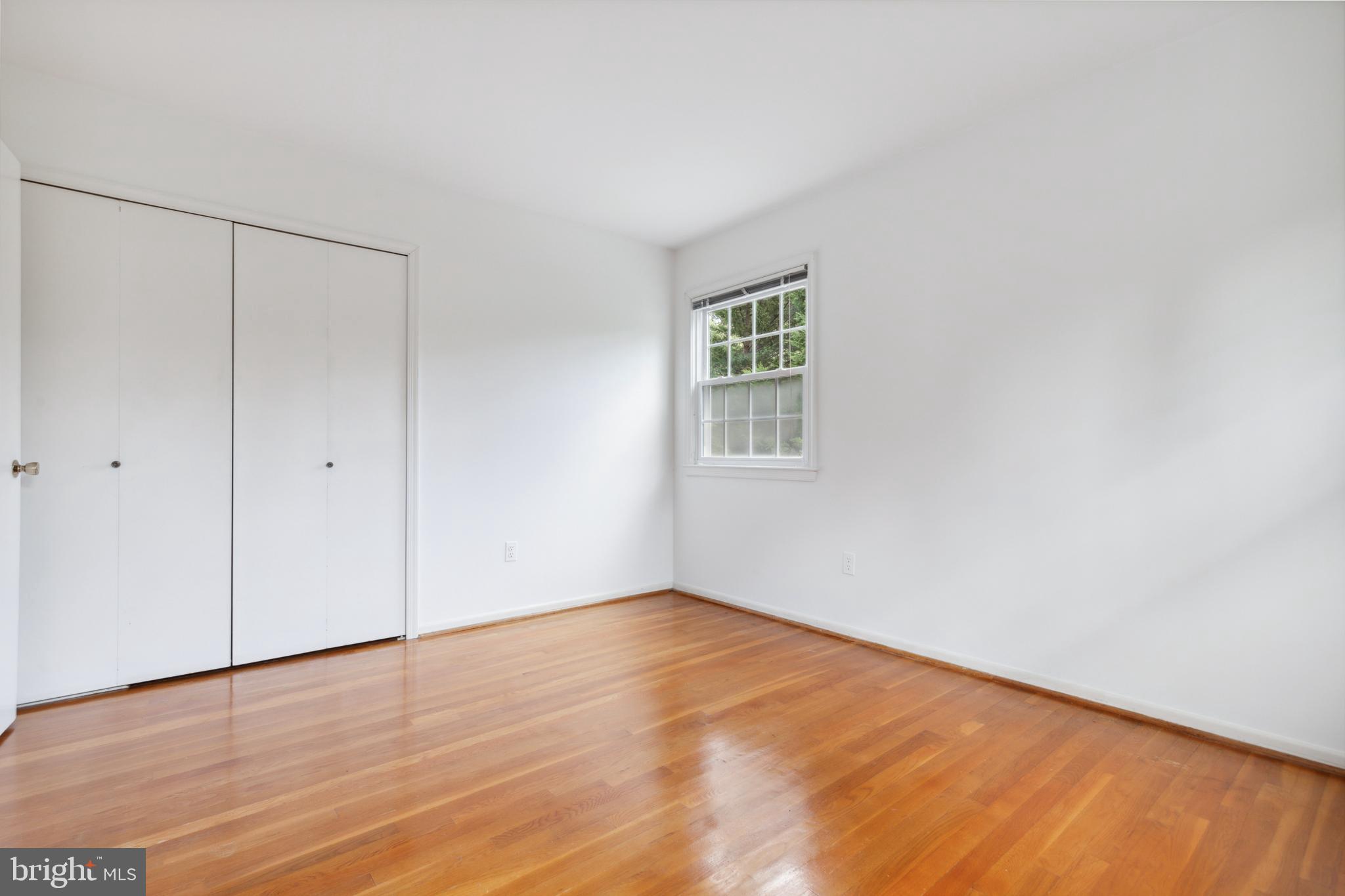 6715 Bellamy Avenue Springfield, VA 22152 - Photo 31 of 52