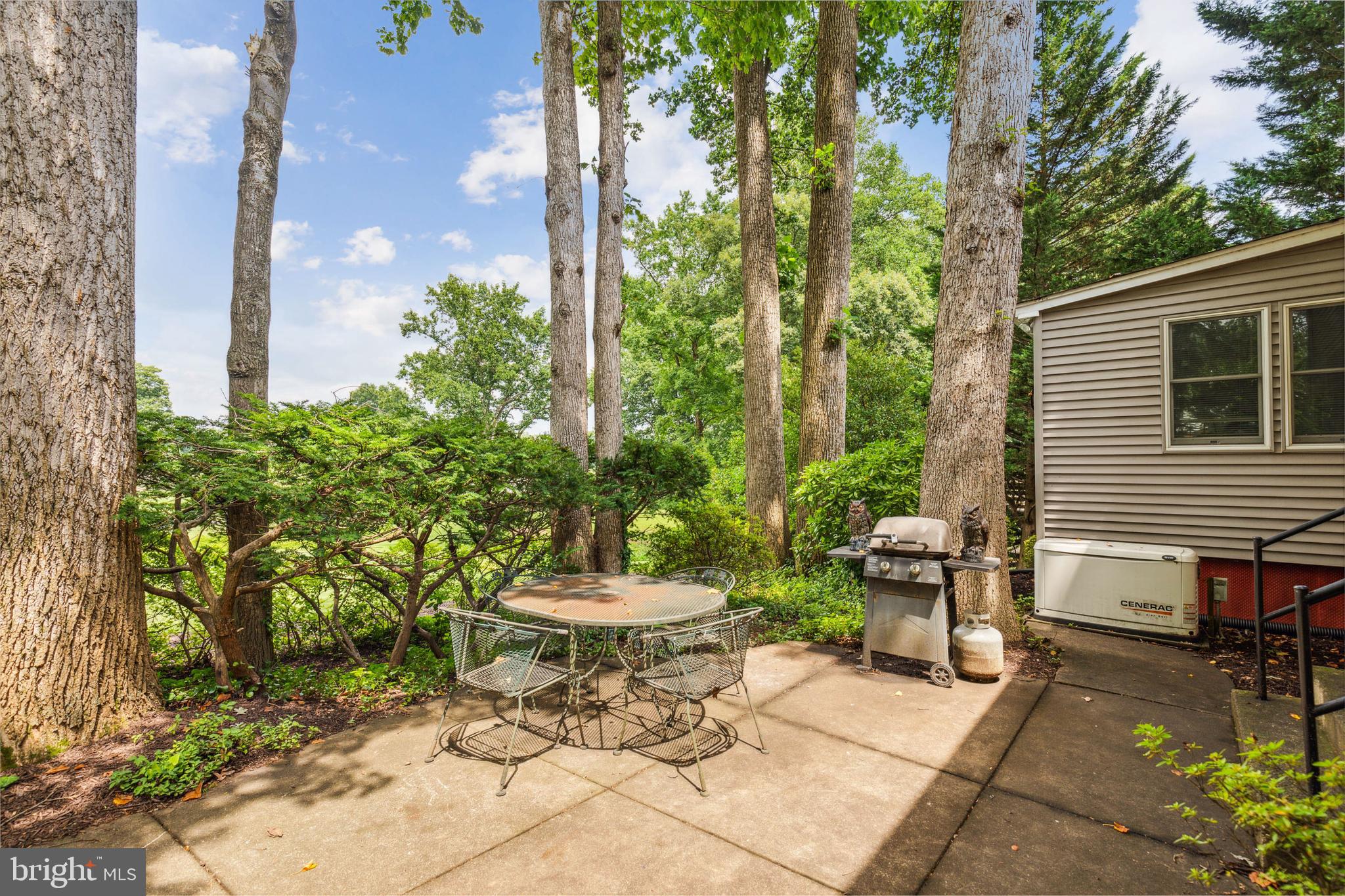 6715 Bellamy Avenue Springfield, VA 22152 - Photo 49 of 52 Private rear yard