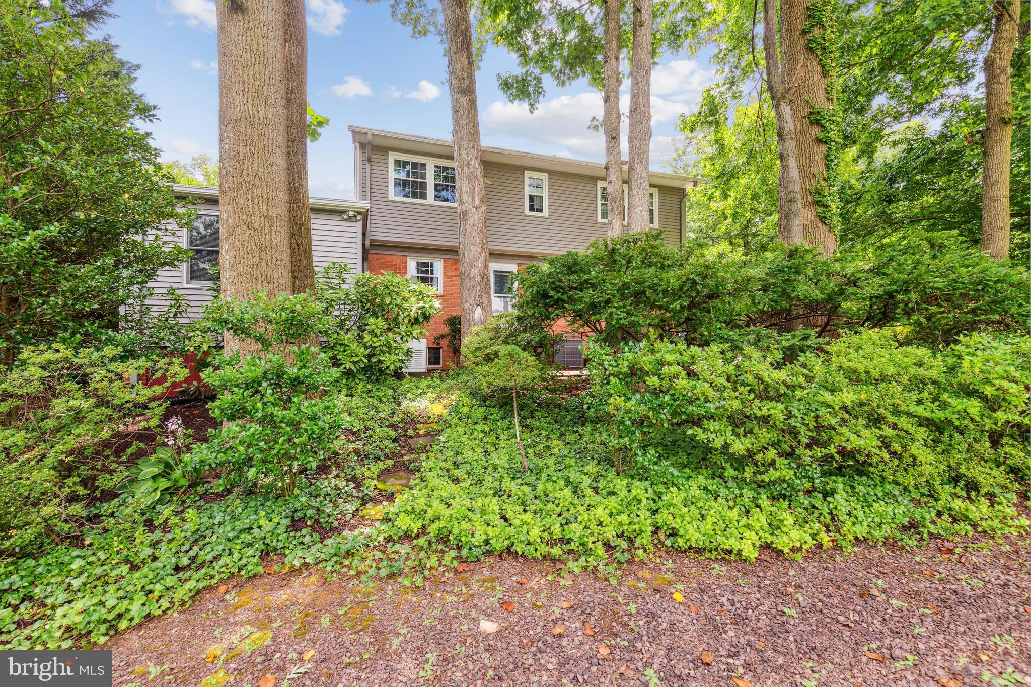 6715 Bellamy Avenue Springfield, VA 22152 - Photo 50 of 52 Professionally landscaped rear yard