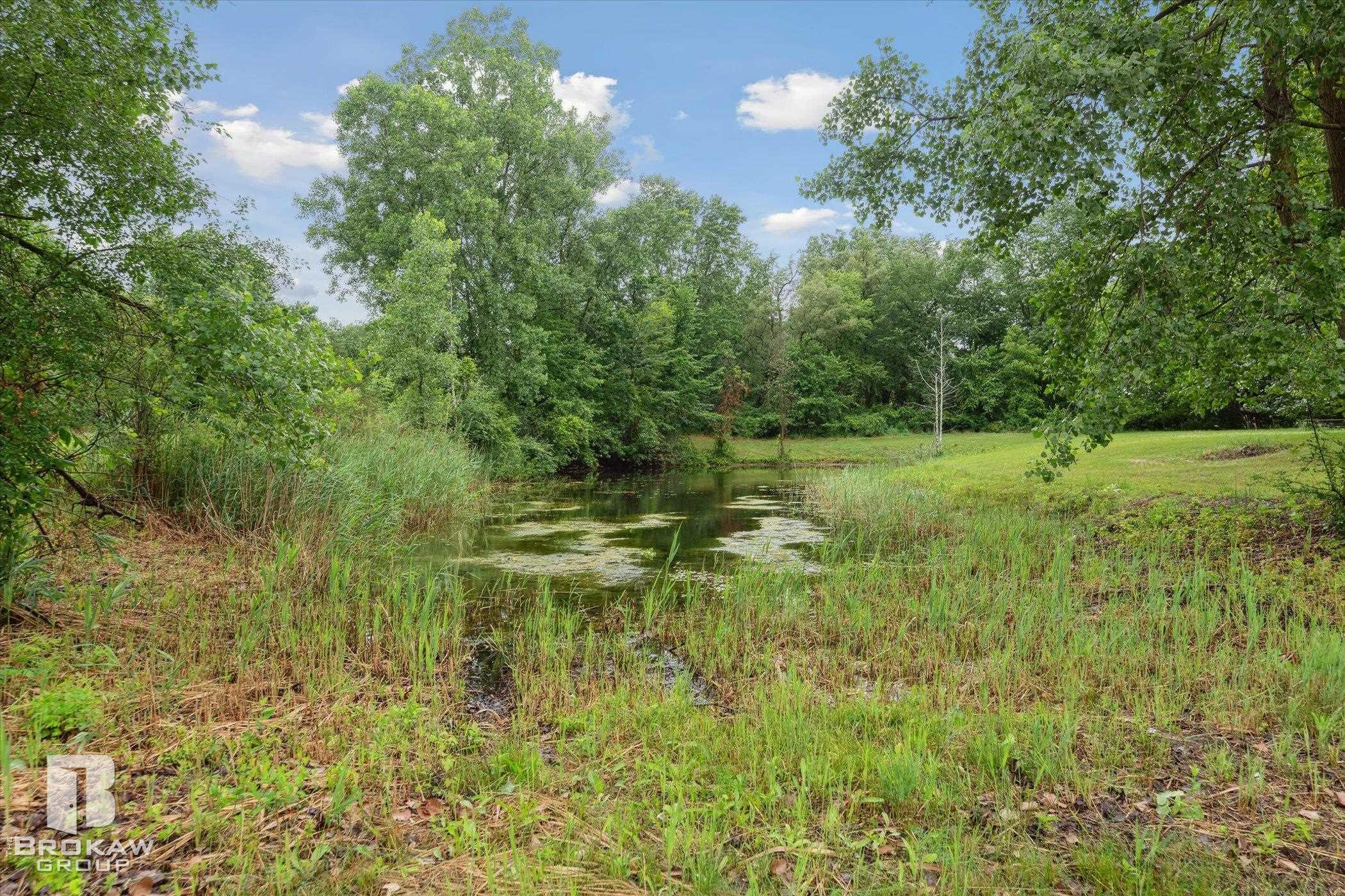 1883 Roods Lake Road Lapeer, MI 48446 - Photo 54 of 67 50146648-4dd540cd-9717-49f0-9a1a-a915b92ad008.JPG