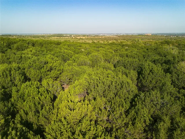 a sign that is sitting on a tree