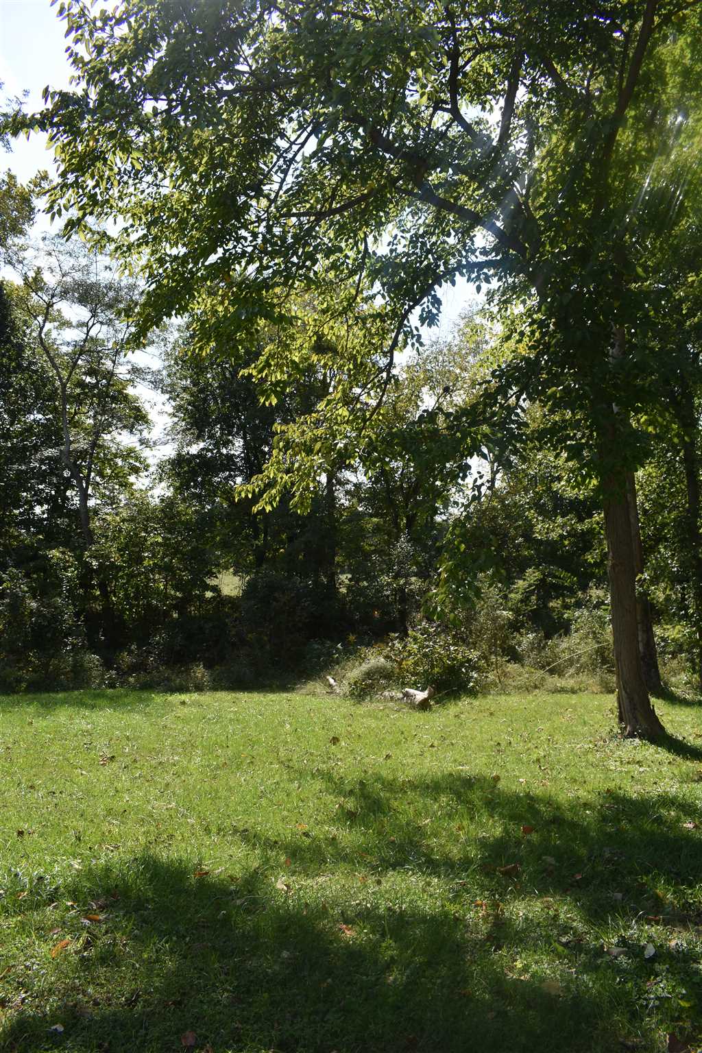 0 South St Road Springville, IN 47462 - Photo 3 of 4