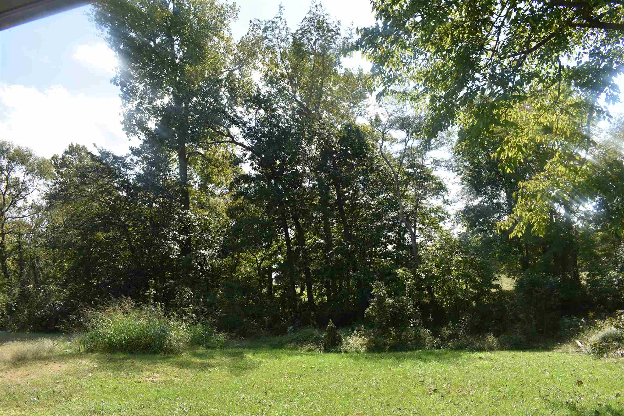 0 South St Road Springville, IN 47462 - Photo 4 of 4