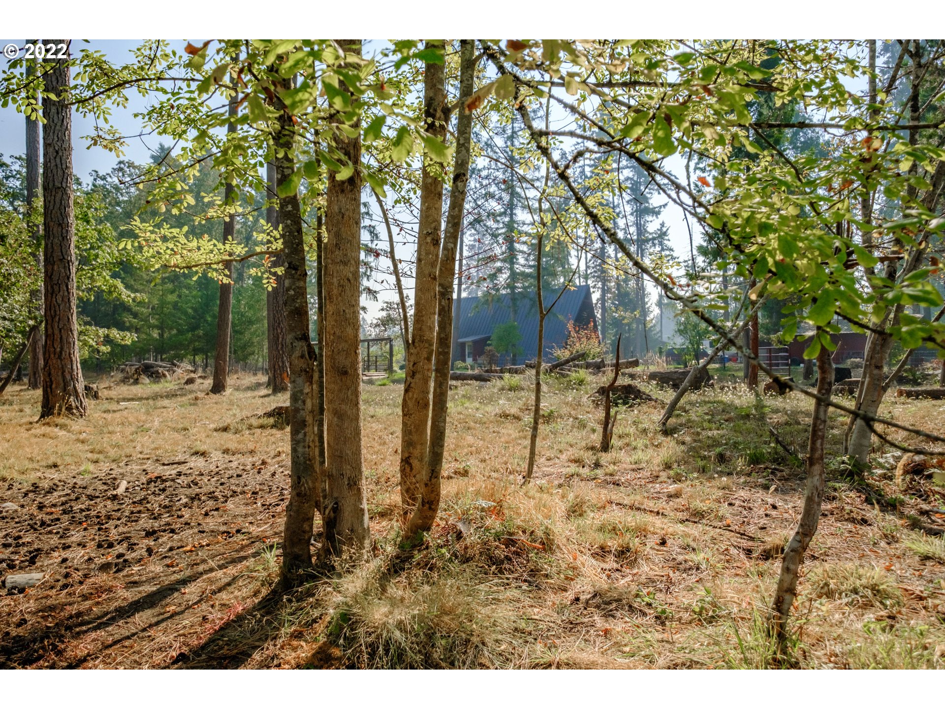 25385 East Bolton Road Veneta, OR 97487 - Photo 12 of 30 Gallery Image 12