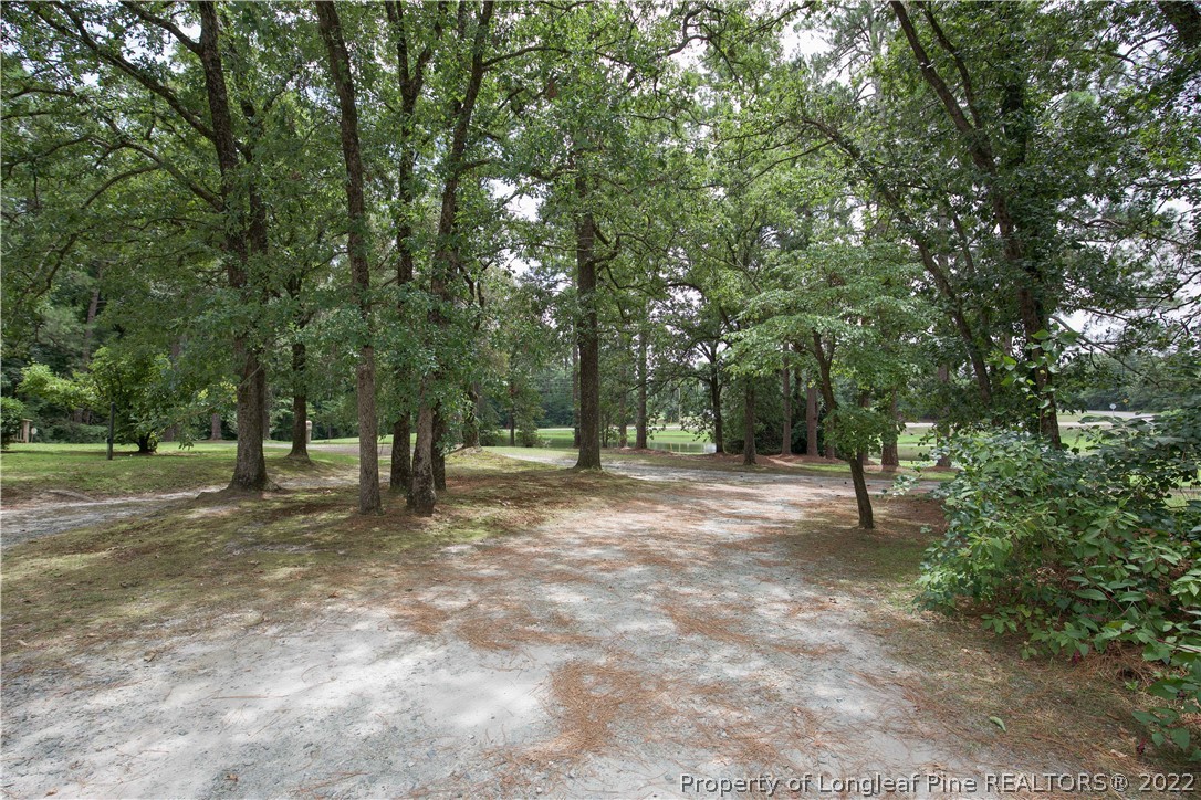 3195 Lobelia Road Vass, NC 28394 - Photo 41 of 50 a view of a tree in a yard