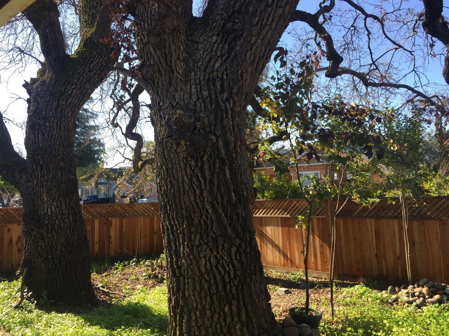 280 3rd Street Gilroy, CA 95020 - Photo 7 of 21