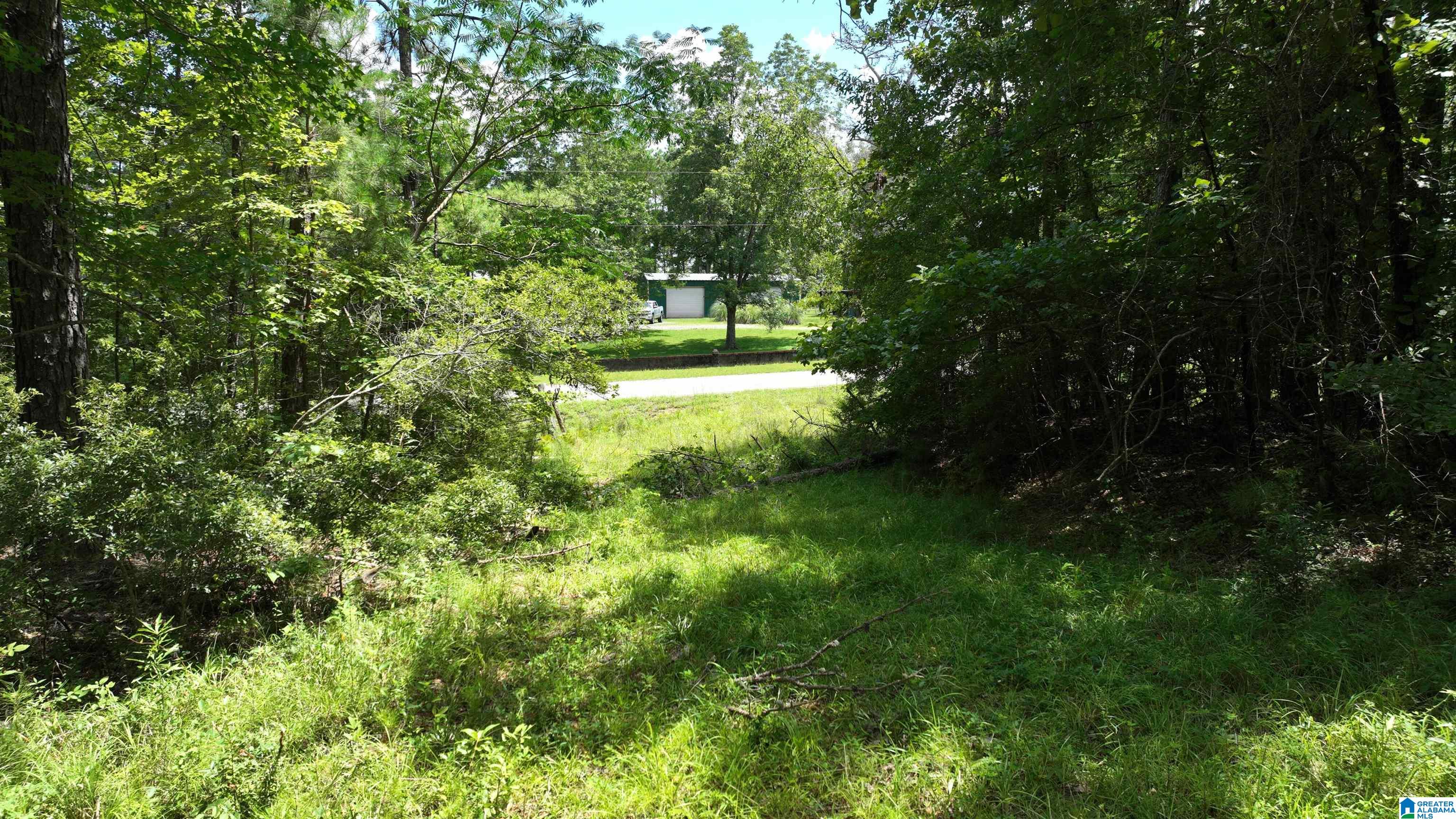 0 South Shackleville Road Georgiana, AL 36033 - Photo 10 of 22