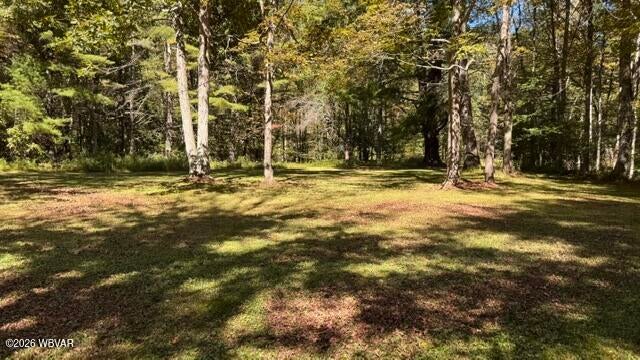 2458 Pleasant Stream Road Trout Run, PA 17771 - Photo 12 of 28 Gallery Image 12