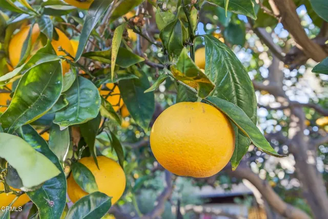 $975,000 | 3146 Strathmore Drive, Ventura, CA 93003