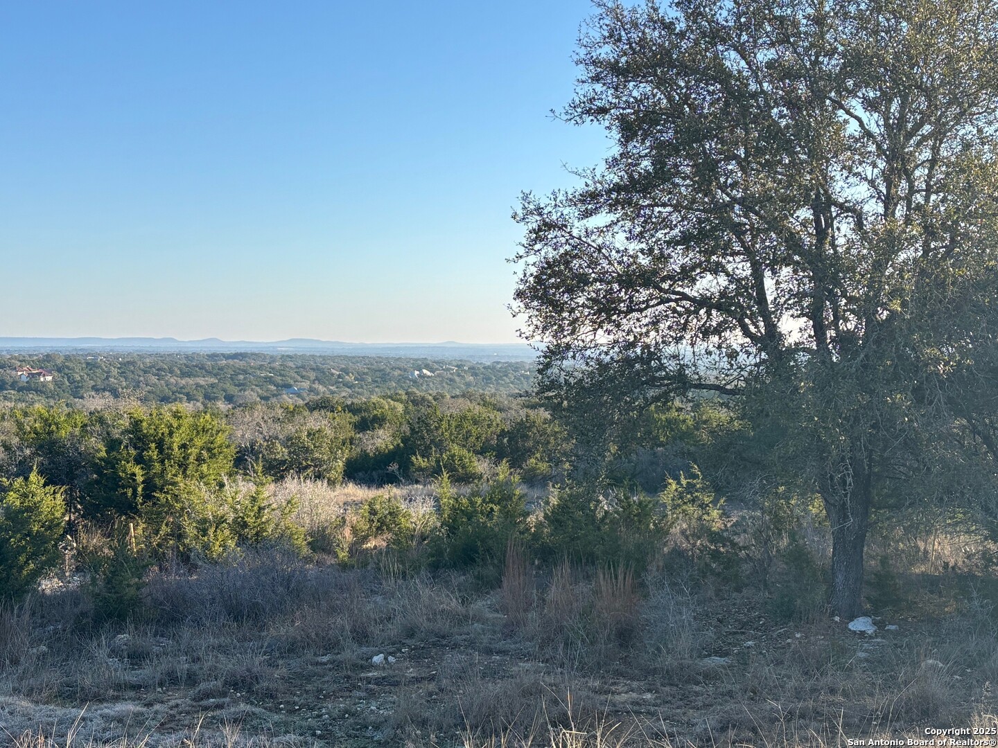 4 Meridian Boerne, TX 78006 - Photo 3 of 13 a view of a forest with trees in front of it