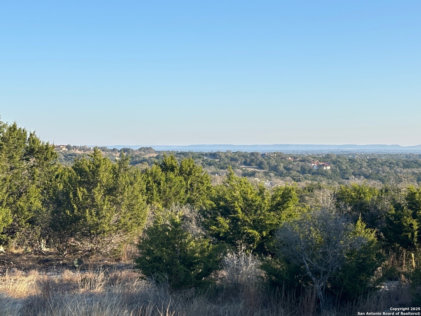 4 Meridian Boerne, TX 78006 - Photo 5 of 13 a view of a forest with trees in the background
