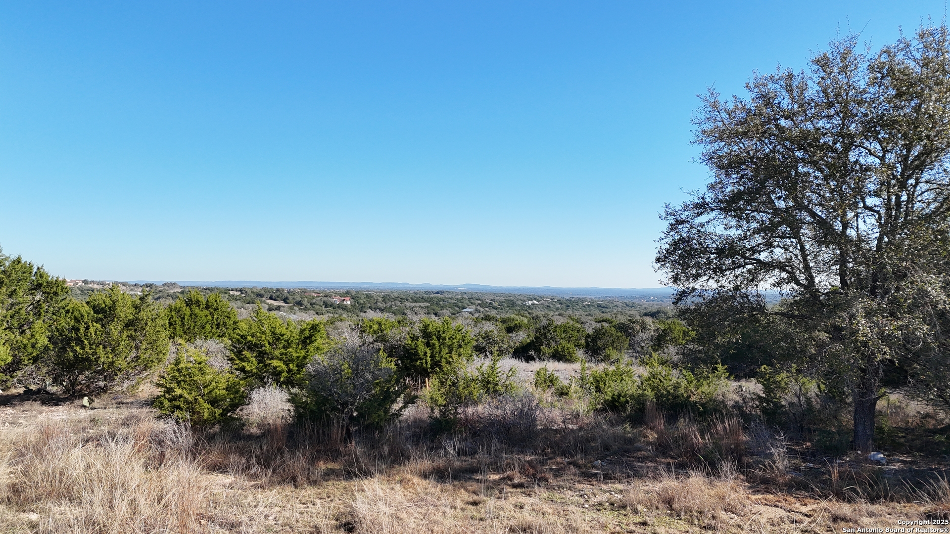 4 Meridian Boerne, TX 78006 - Photo 8 of 13 a view of a forest with trees