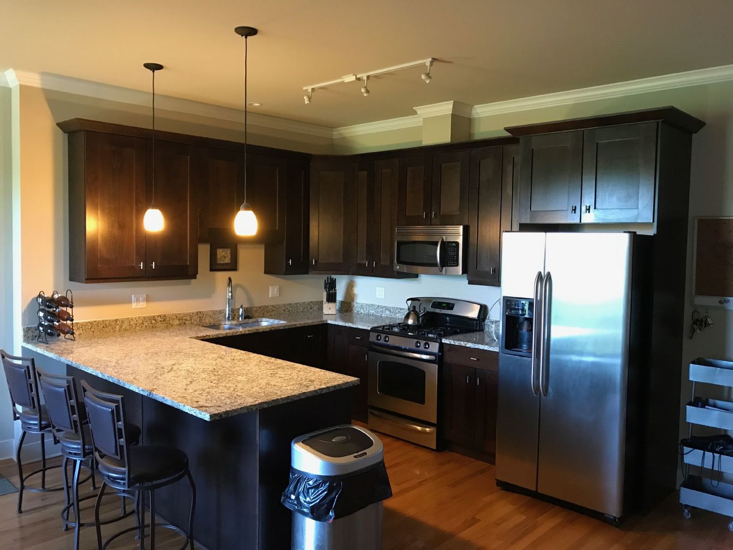 207 East 31st Street, Unit 3C Chicago, IL 60616 - Photo 4 of 10