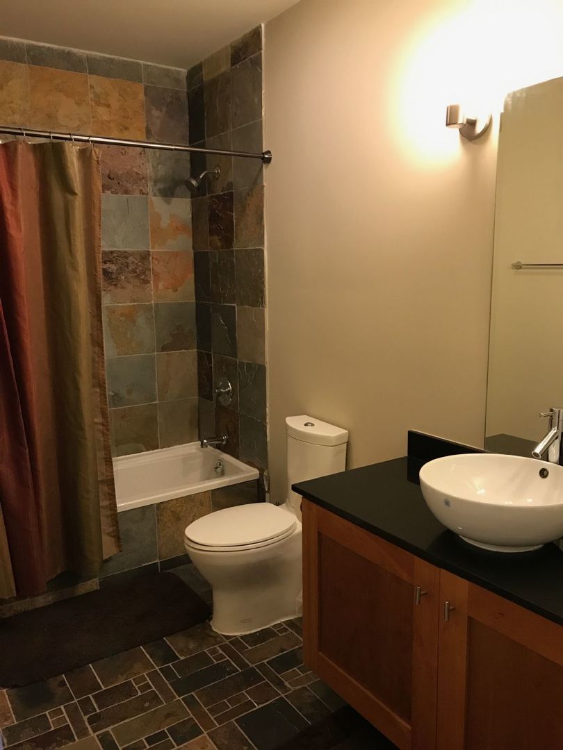 207 East 31st Street, Unit 3C Chicago, IL 60616 - Photo 8 of 10