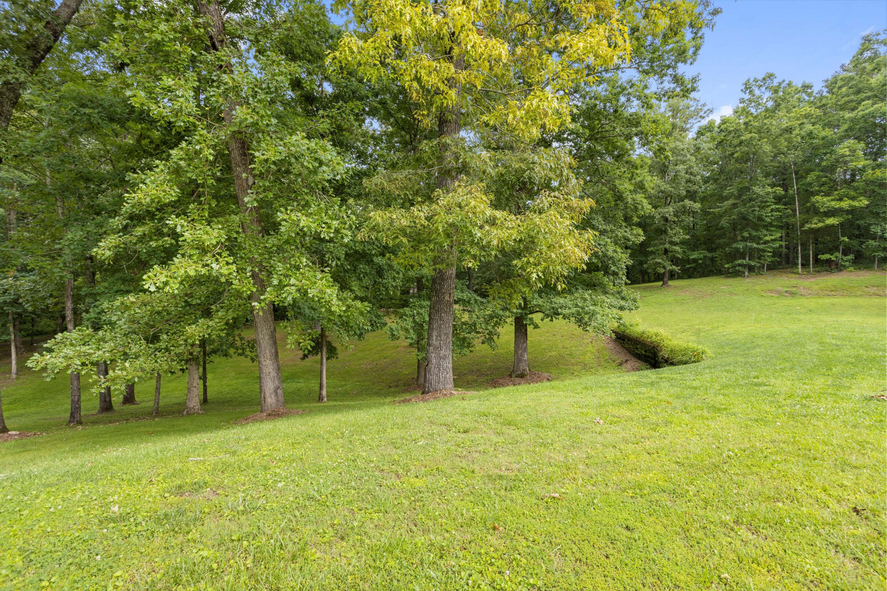 4125 McDonald Road Apison, TN 37302 - Photo 4 of 71 04-2M6A3166