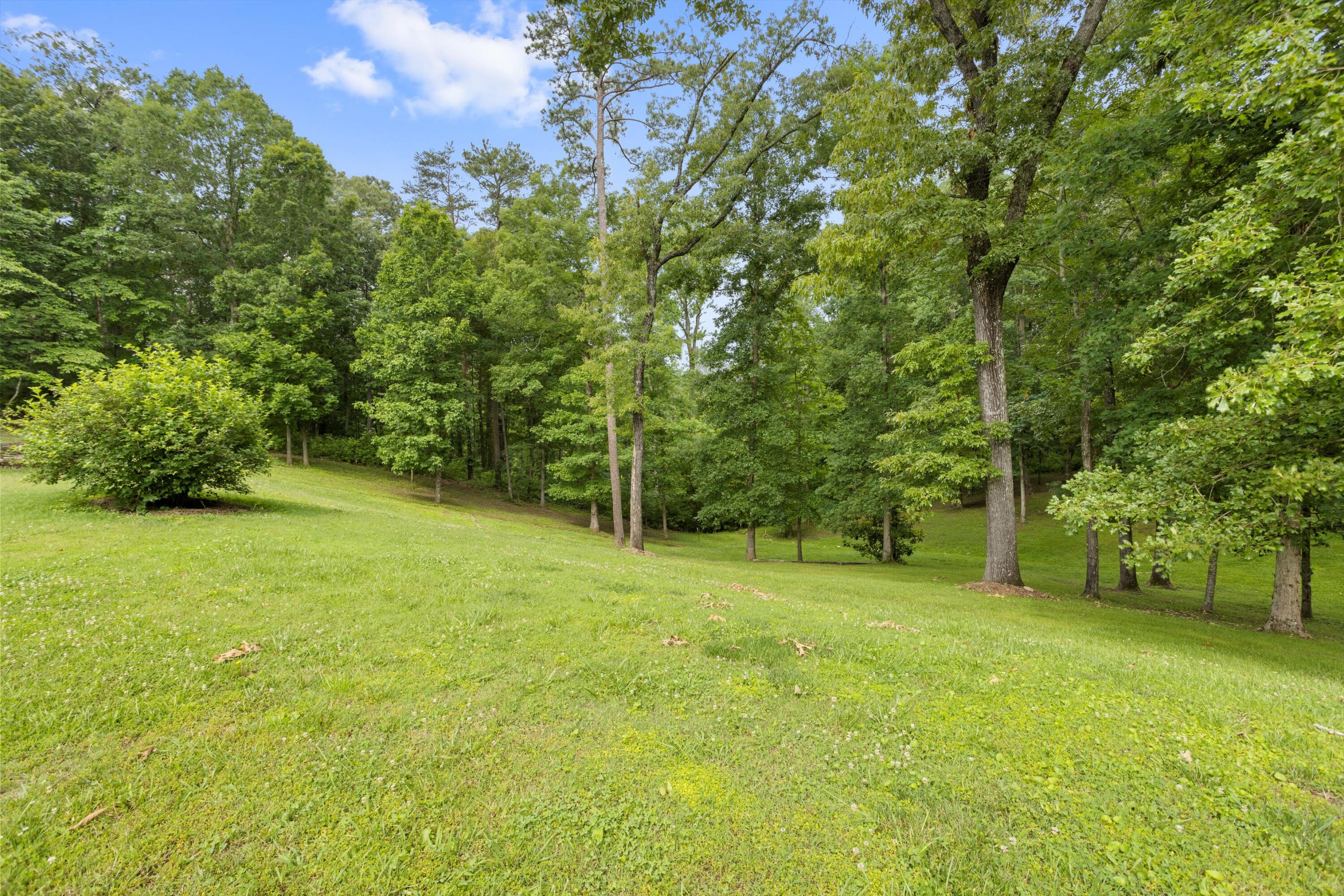4125 McDonald Road Apison, TN 37302 - Photo 5 of 71 05-2M6A3169