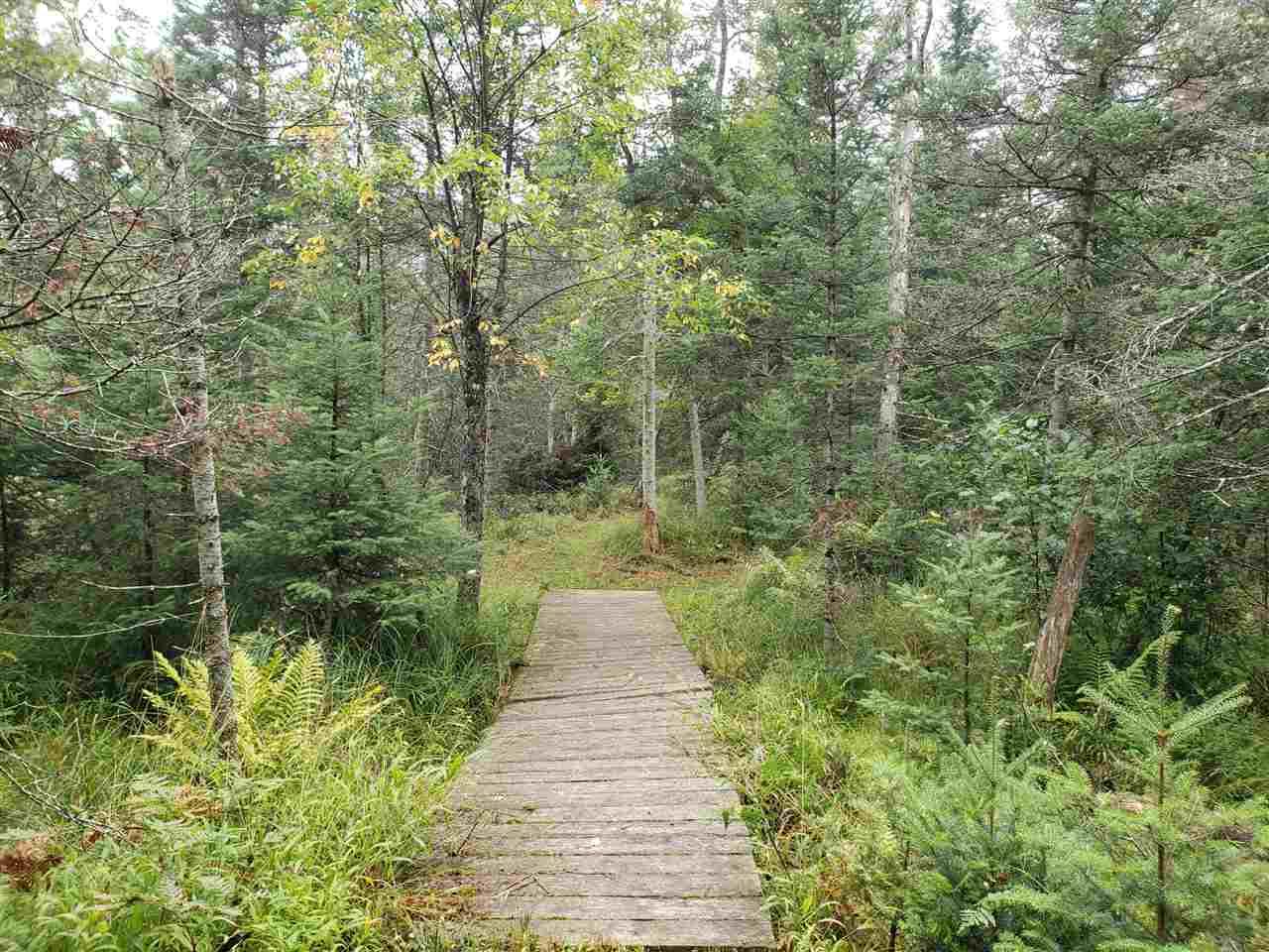 3143 Ruffled Grouse Trail Grayling, MI 49738 - Photo 38 of 44 1867401-37.JPG
