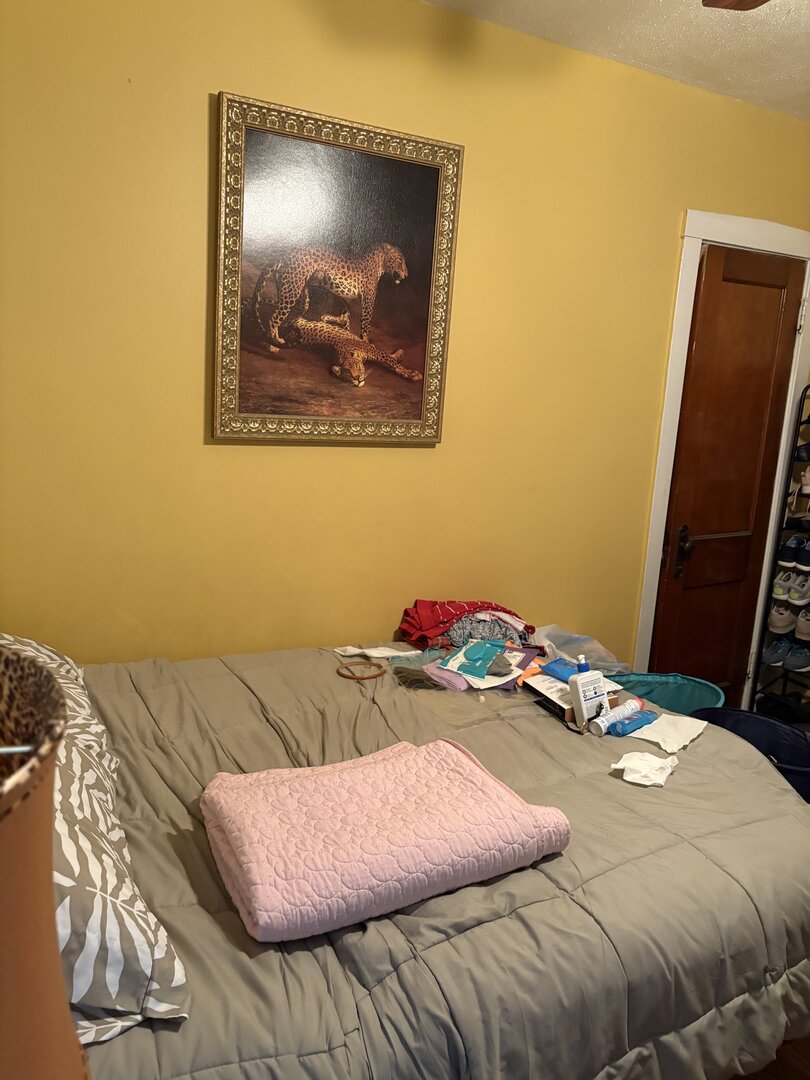 3523 North Whipple Street Chicago, IL 60618 - Photo 12 of 48 a bedroom with a bed and a painting on the wall