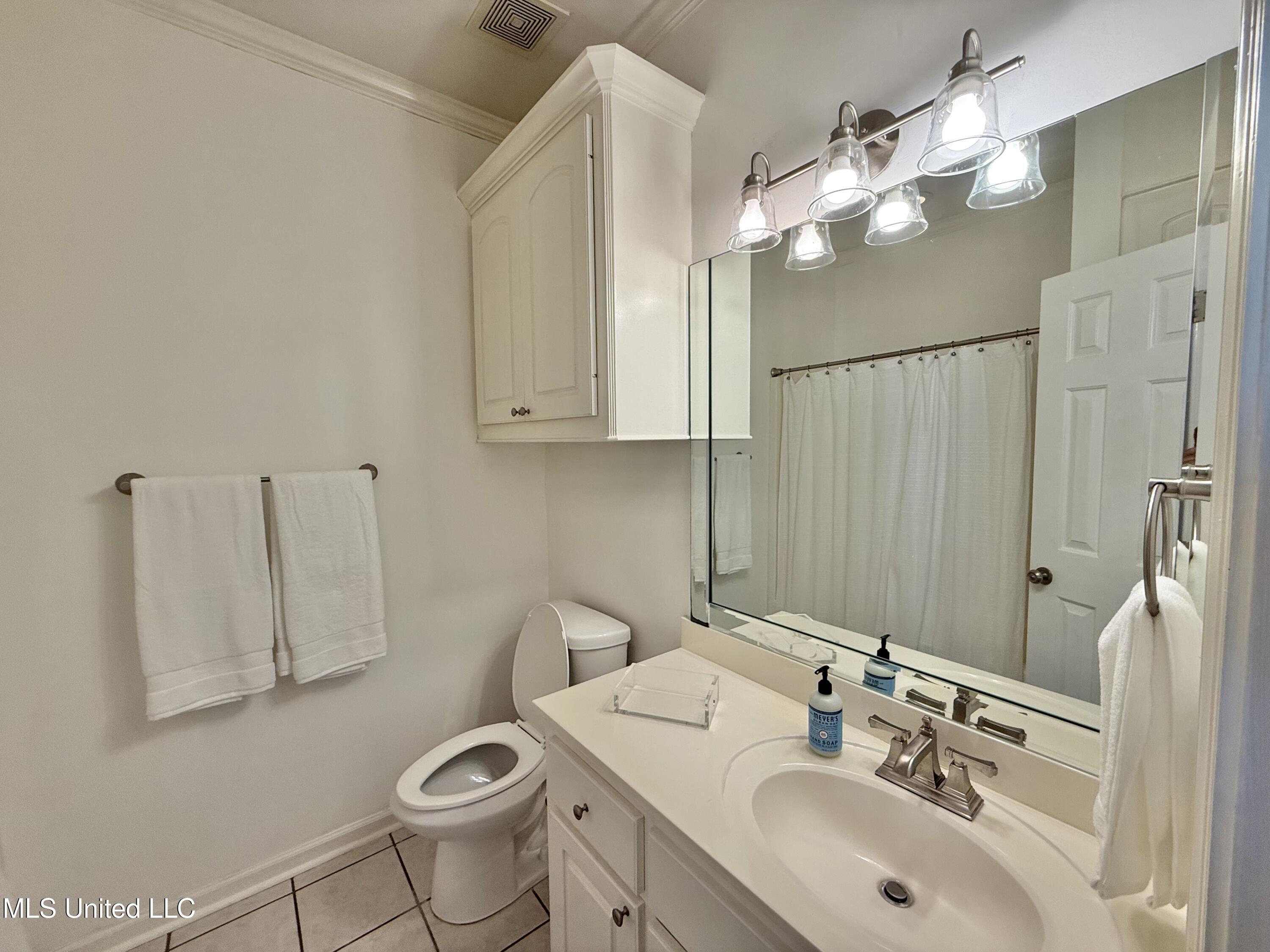 103 Buffalo Cove Clinton, MS 39056 - Photo 18 of 34 IMG_7647