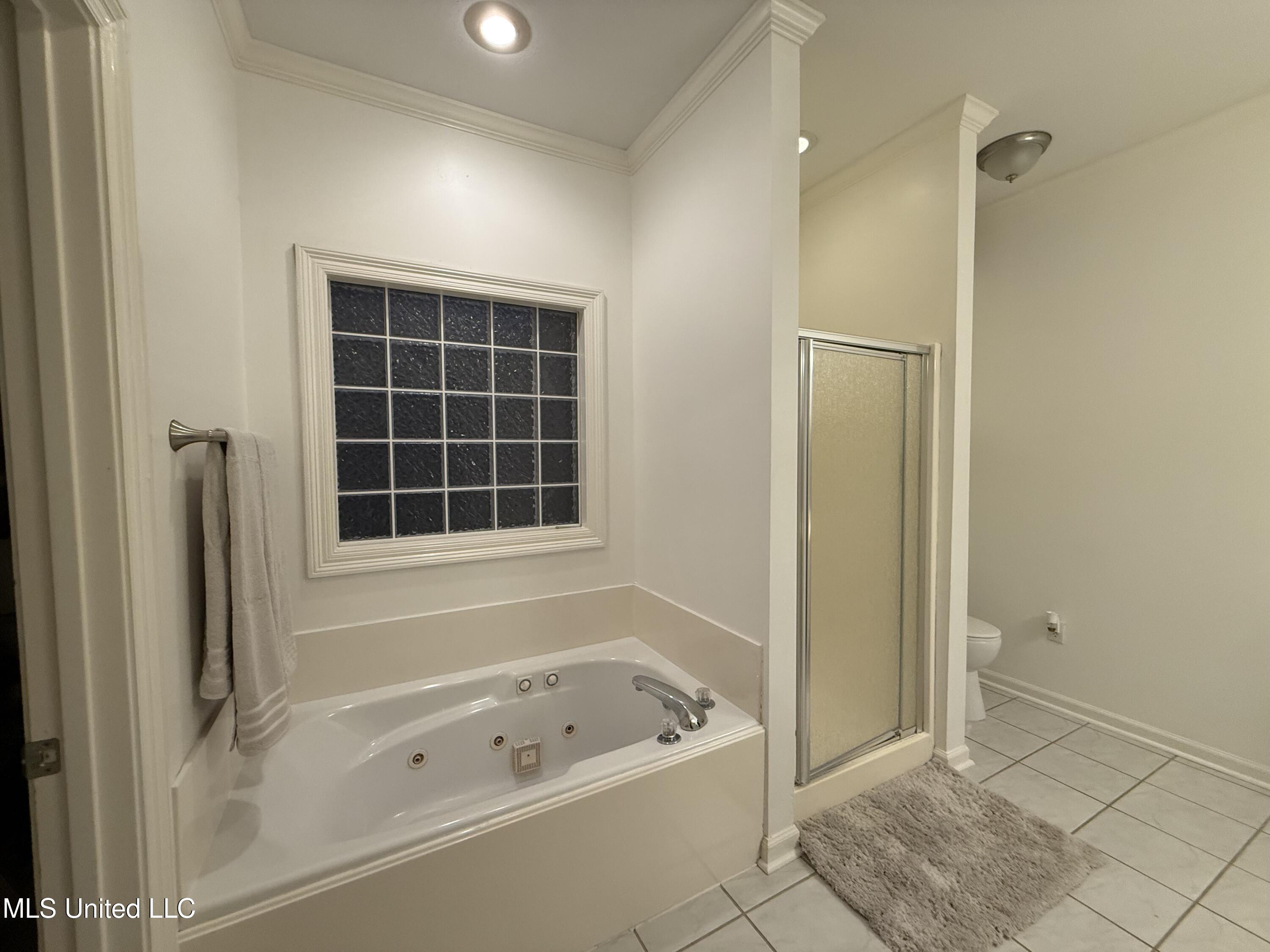 103 Buffalo Cove Clinton, MS 39056 - Photo 23 of 34 IMG_7058