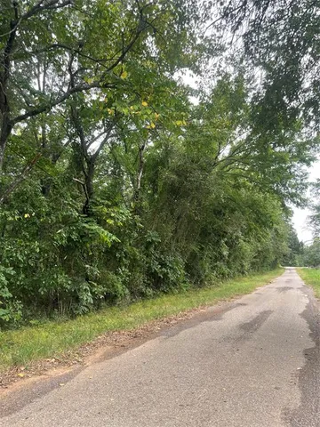 a view of a dirt road with trees in the background